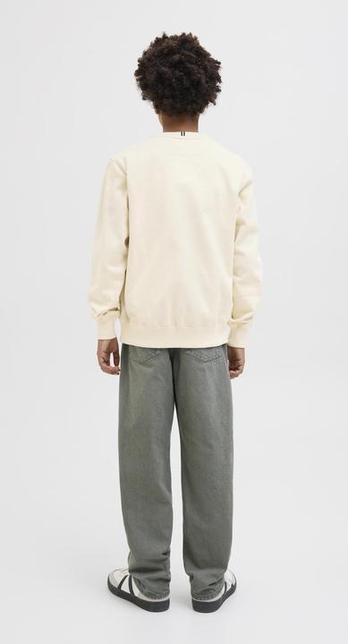 Actual product image Jack & Jones Gedruckt Sweatshirt Junior Sweatshirt (140)