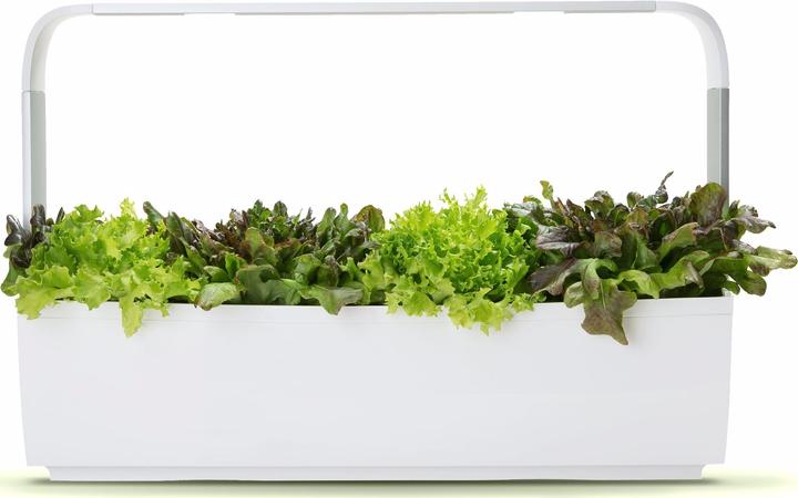 Tregren Kräutertopf T12 Weiss (64.50 cm)