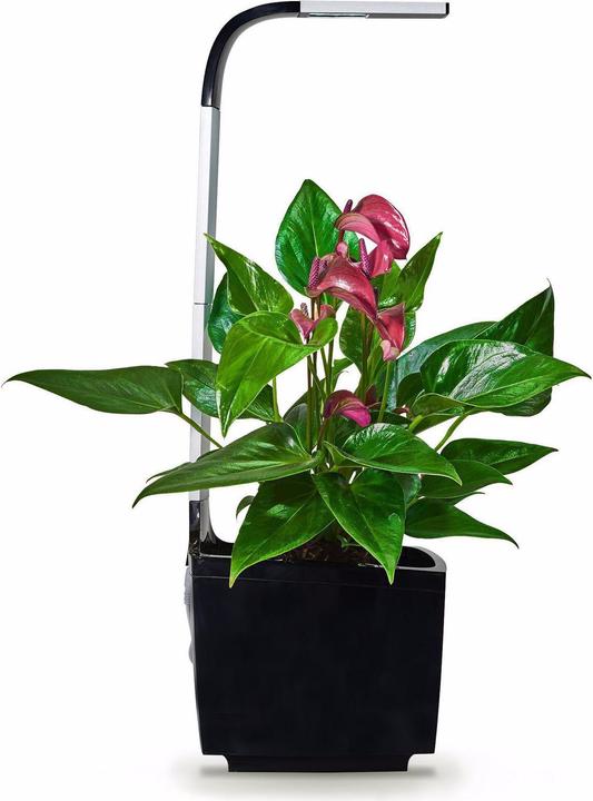 Image du produit Tregren Pot à herbes T3 Noir (17.50 cm)