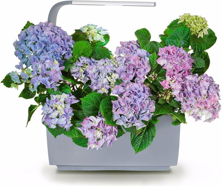 Image du produit Tregren T6 Potager (17.50 cm)