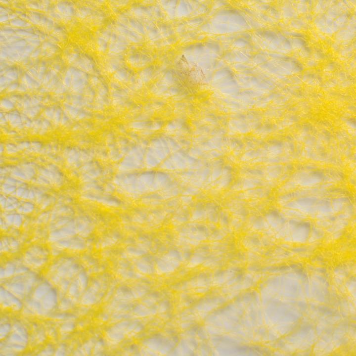 Image du produit Glorex Ruban non-tissé 60mm 10m jaune