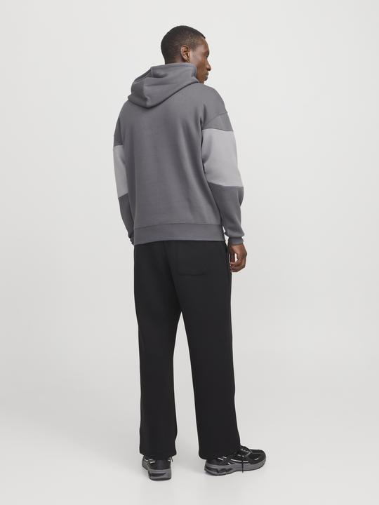 Actual product image Jack & Jones Jjelegacy Blocking Sweat Hood Noos (XS)