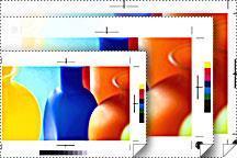 Image du produit Epson Papier d'épreuvage Blanc 61x30.5 m, 250g/m2, 1 rouleau (250 g/m², 3050 cm, 61 cm)