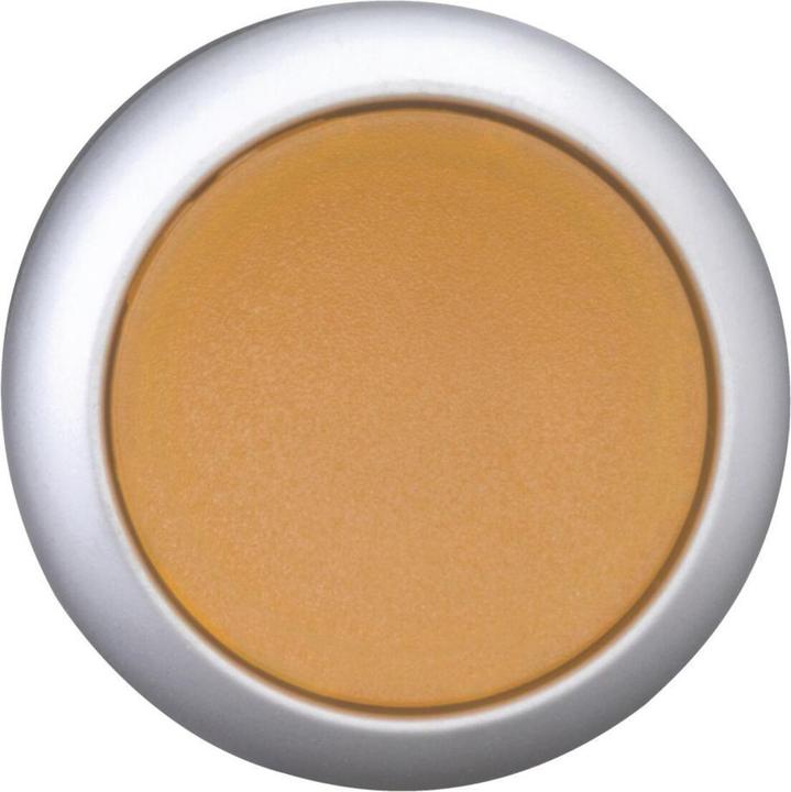 Actual product image Eaton Illuminated push-button, RMQ titanium, flat, 167429