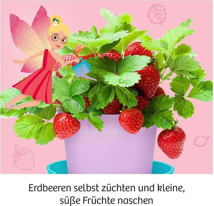 Produktbild Kosmos Feen-Erdbeeren
