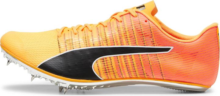 Actual product image Puma evoSPEED BRUSH 6 (42.5)