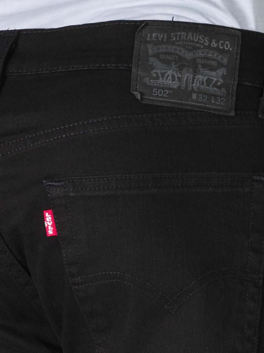 Actual product image Levis 502 Jeans Tapered Fit native call (W31/L30)