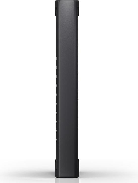 Actual product image SanDisk Professional ArmorLock (1000 GB)