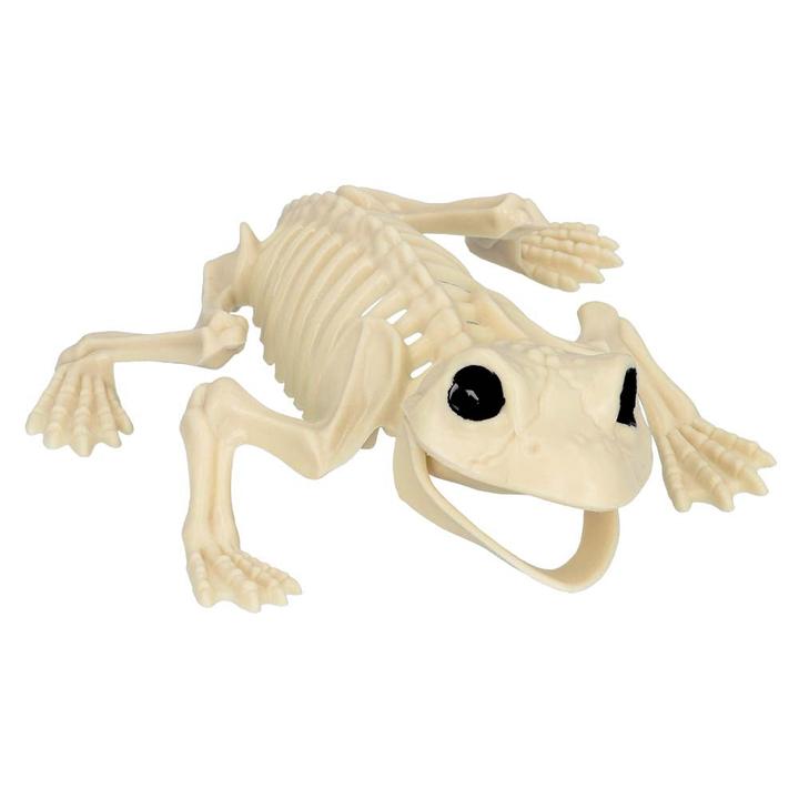 Produktbild Boland Frosch Skelett (17 cm)