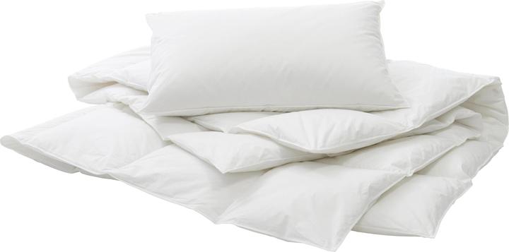 Image du produit Billerbeck Organic Goose Medium (50 x 70 cm)
