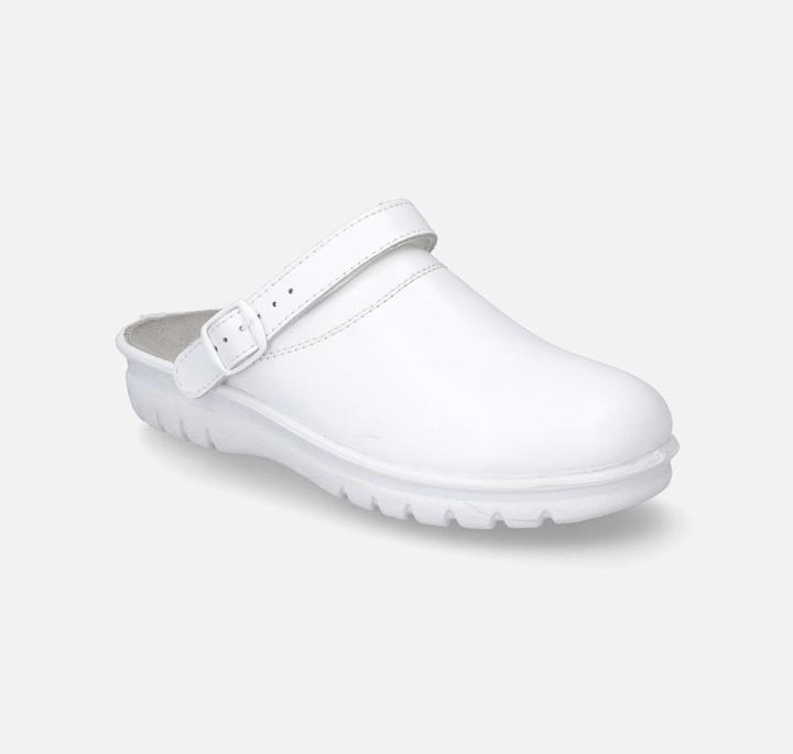 Actual product image Westland 31311-95 (37)