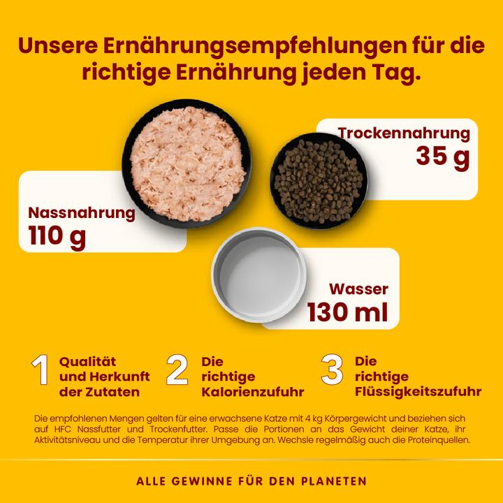 Actual product image Almo Nature HFC Complete (Adult, 70 g)