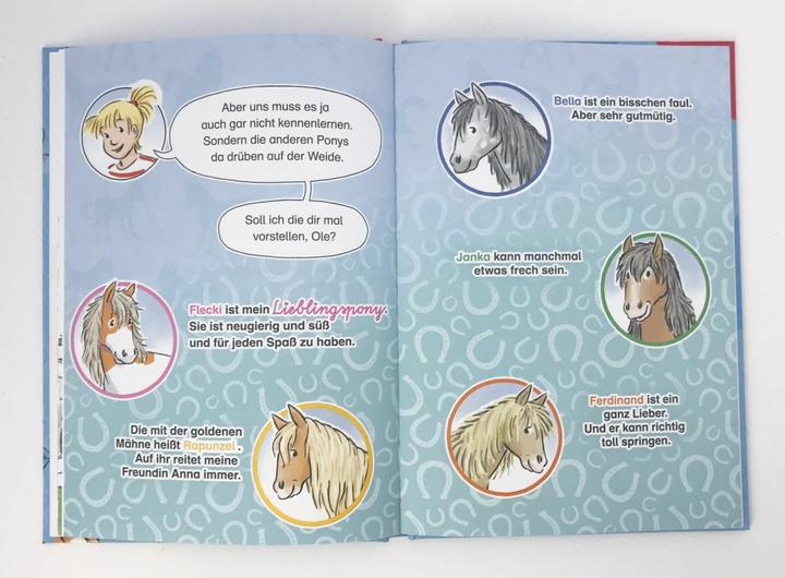 Produktbild Lesespass mit Conni: Conni und das wilde Pony (Deutsch, Herdis Albrecht, Julia Boehme, 2019)