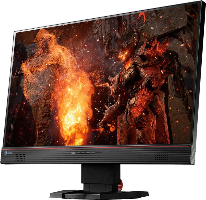 Image du produit Eizo Fs2434 (1920 x 1080 pixels, 23.80")