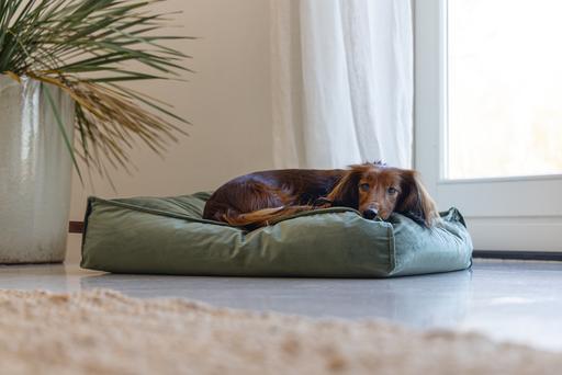 Actual product image Designed by Lotte Nalino (Dog)