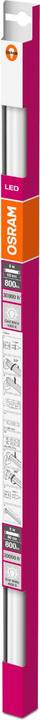 Actual product image Osram Neutral (G13, 8 W, 800 lm, 1 x, D)