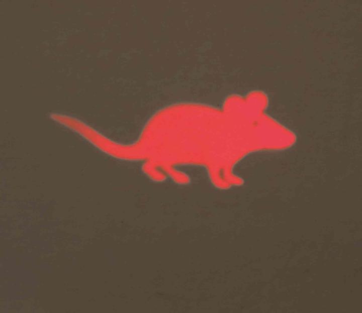 Produktbild Trixie LED Pointer Catch the Light Maus (Spielmaus Katze)