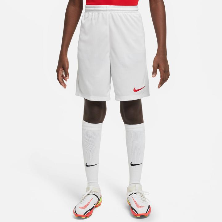 Actual product image Nike Dry Park III Shorts Kids (XS)