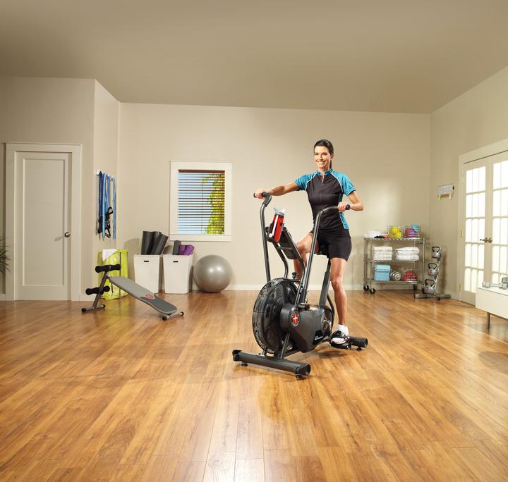 Actual product image Schwinn AD6 Airdyne Bike