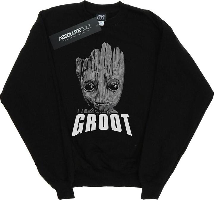Guardians Of The Galaxy Groot Face Sweatshirt Mädchen