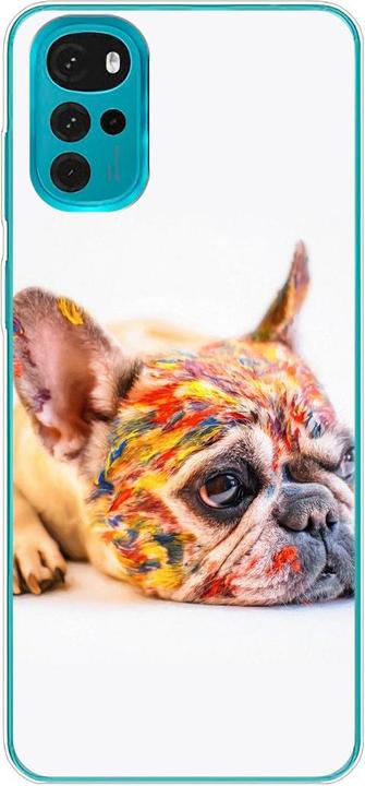 Bulldog coloured