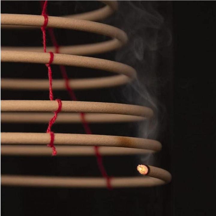 Actual product image Esschert Design Mosquito Spiral Citronella Brown