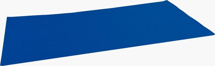 Produktbild Exacompta BEEBLUE - Schreibunterlage (40 x 80 cm)