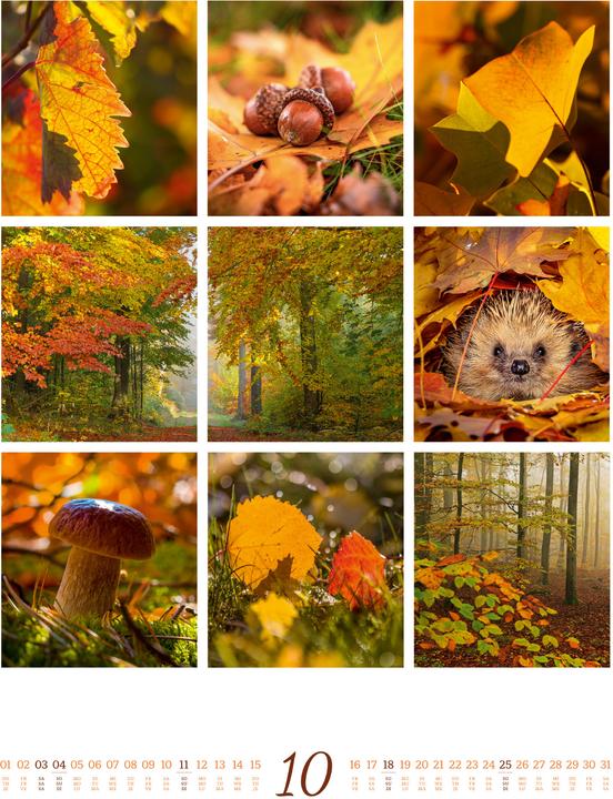 Immagine prodotto Inspiration Natur Kalender 2026 (Copertina rigida, Inglese, Francese, Tedesco)