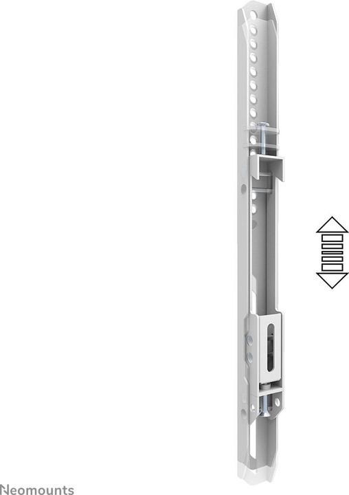 Produktbild Neomounts BOS Doppelschirm-Adapter (Standfuss, 65")