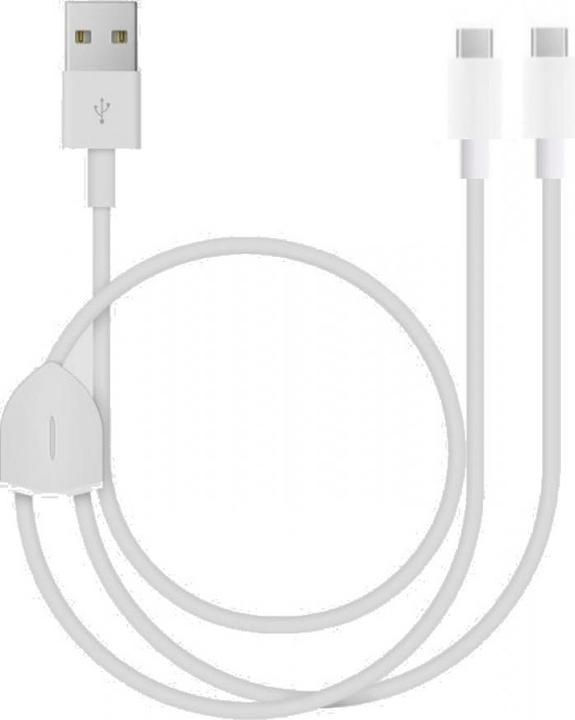 Actual product image PowerGuard 2-in-1 Dual USB-C Charging