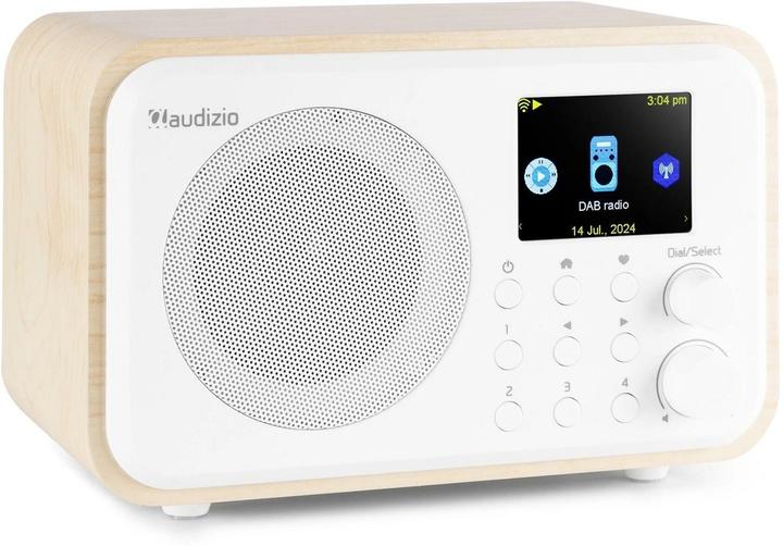 Image du produit Audizio Radio WiFi Vicenza (Webradio, DAB+ DAB, FM, Bluetooth, WiFi)