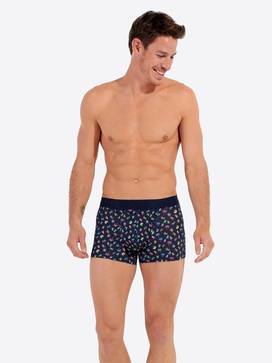 Immagine prodotto HOM Retro Boxer California HO1 (M, Confezione singola)