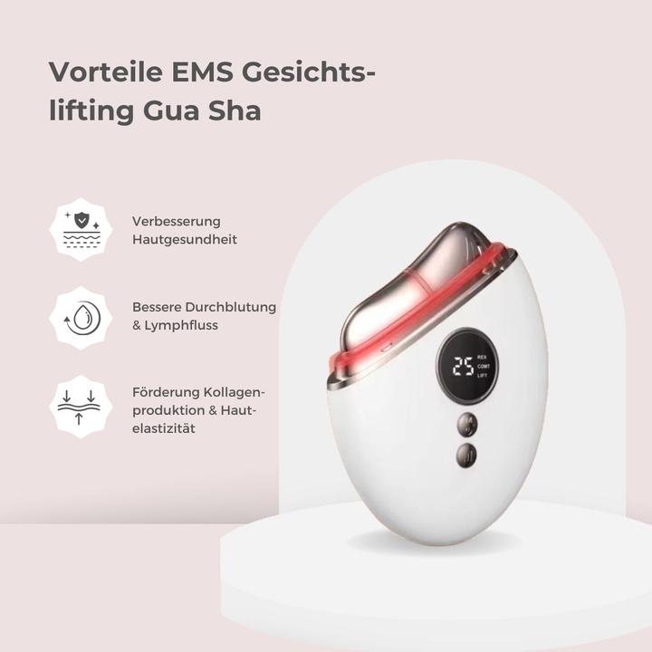 Produktbild Vanessa Beauty EMS Gesichtslifting Gua Sha