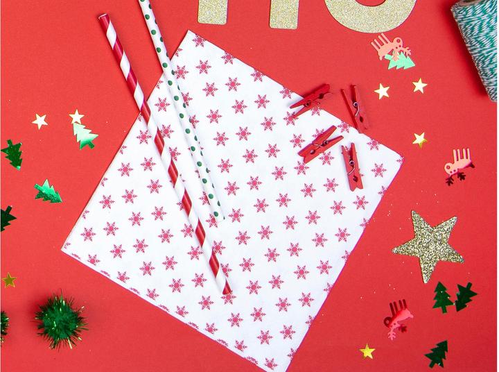 Actual product image Partydeco Red and white striped paper straw (10 x)