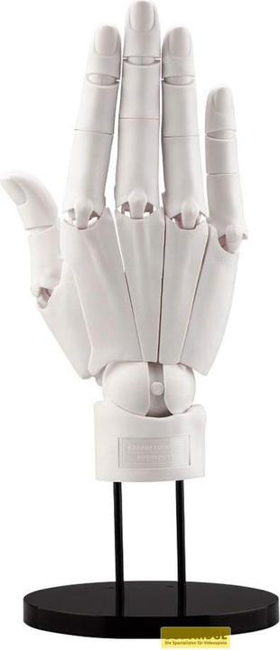 Actual product image Kotobukiya Takahiro Kagami PVC Artist Support Item Hand 1/1 Model/R White 21 cm