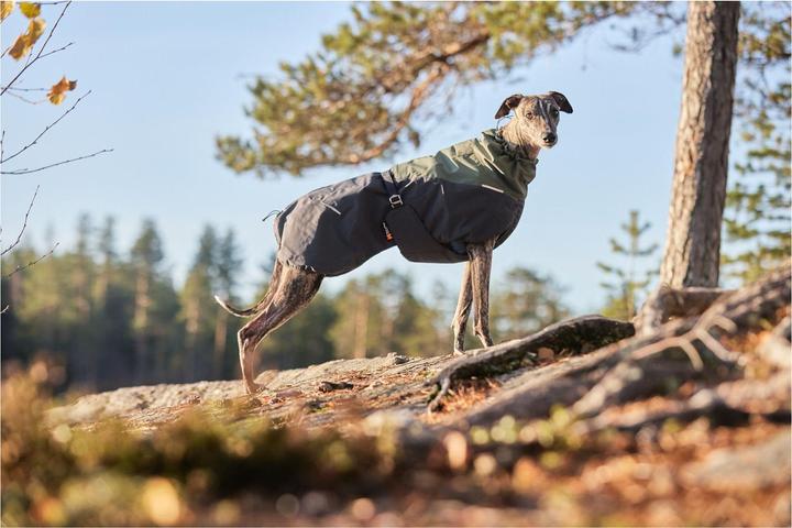 Actual product image Non-Stop Dogwear Winter Coat Wool Jacket Winter Jacket For Dogs S (45, Dog coat)
