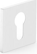 Rozette Eschutcheon For Cylinder Matte Nickle (20 cm)