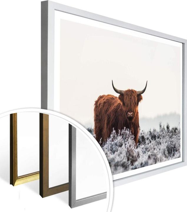 Immagine prodotto Trenddeko van den Helm - Highlander (30 x 24 cm)