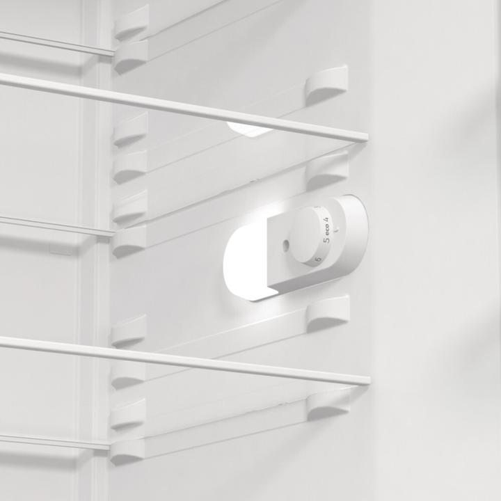 Actual product image Gorenje R619EES5 (398 l)