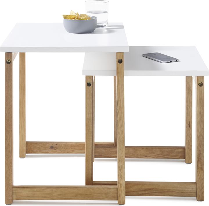 Image du produit Robas Lund Riverside (50 x 40 x 50 cm)