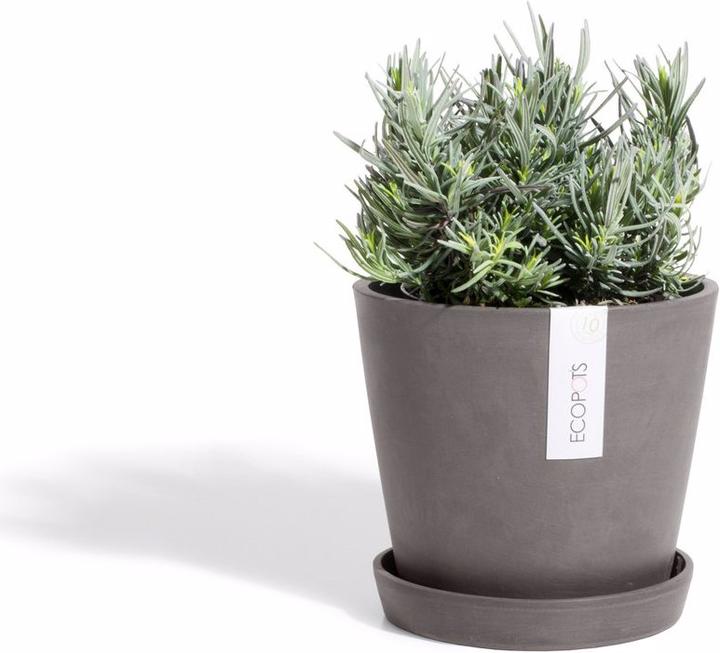 Produktbild Ecopots Saucer Round
