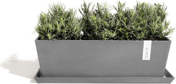 Produktbild Ecopots Saucer Rectangular