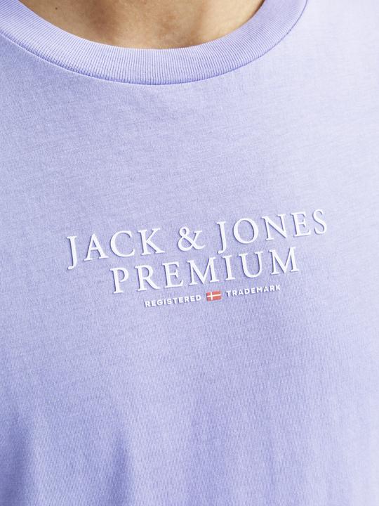 Actual product image Jack & Jones Jprbluarchie Ss Tee Crew Neck Noos (M)