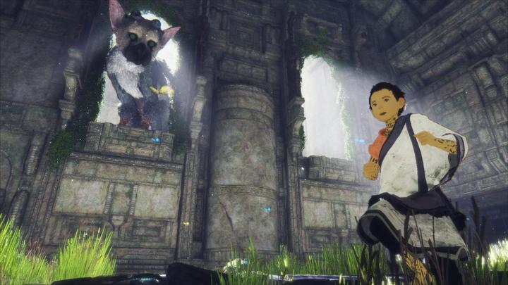 Actual product image Sony The Last Guardian (PS4, Multilingual)
