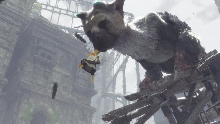Actual product image Sony The Last Guardian (PS4, Multilingual)