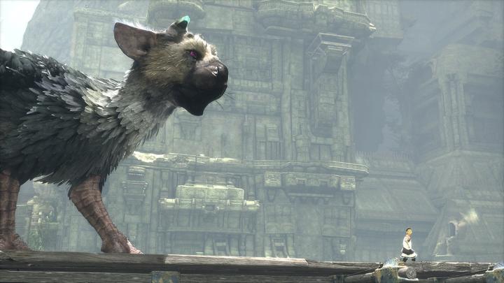 Actual product image Sony The Last Guardian (PS4, Multilingual)