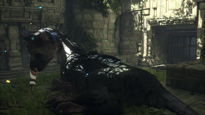 Actual product image Sony The Last Guardian (PS4, Multilingual)