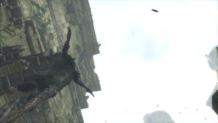 Actual product image Sony The Last Guardian (PS4, Multilingual)