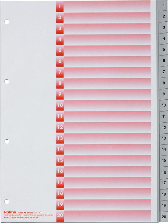 Actual product image Kolma Index A4 strong 1-20 20-piece grey