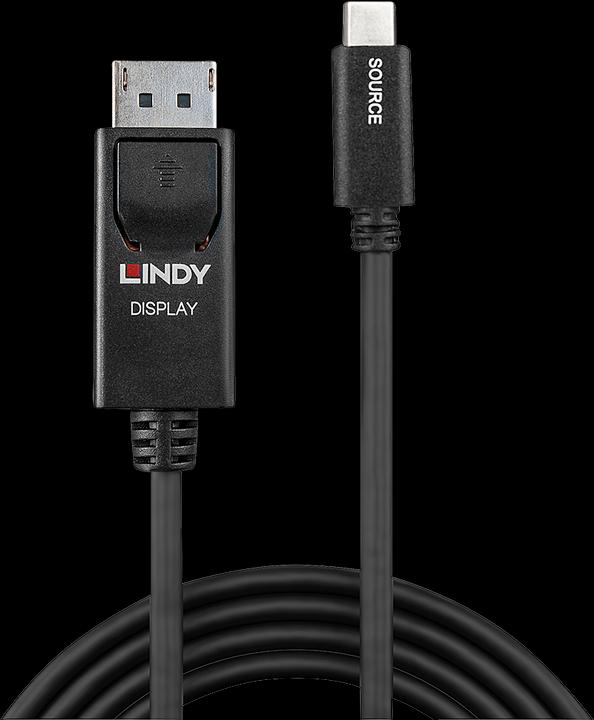 Actual product image Lindy USB Type C to DisplayPort (50 cm)